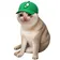 PUMPCAT