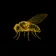 Fly