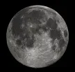 MoonCoin Wallet