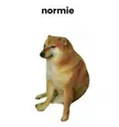 NormieDog 钱包