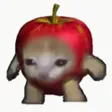 Portefeuille Apple Cat
