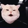 Commander Vrax