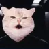 VRAX