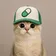 PUMPCAT