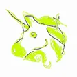 Unicorn on Hood Wallet