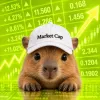 Market Cap