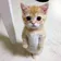 Gato