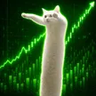 Looongcat Wallet