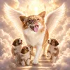 Justice for Wang Wang
