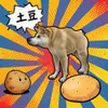 刀盾狗