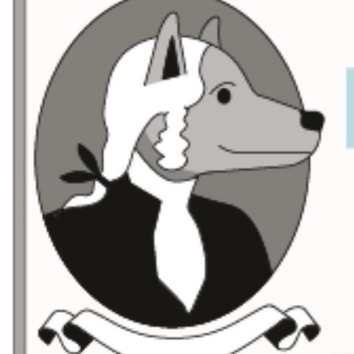 JohnDog token on Robinhood