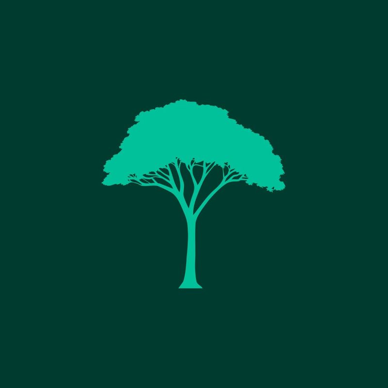 CNPY token on Robinhood