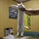 LONGCAT