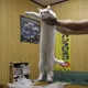 LONGCAT