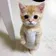 Gato
