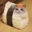 Carteira Sushi Cat