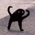 Dompet Cursed Cat