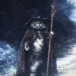mystic 钱包