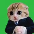 Monedero de Feline Finance