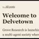 DelveTown