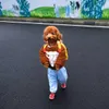 dogwifpants