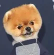 Portafoglio Jiffpom