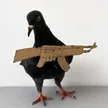 pigeon wif ak47 钱包