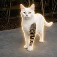 ‌Ví catwiftat