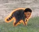 BLACKMOTHY