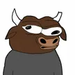 Delusional Bull Wallet