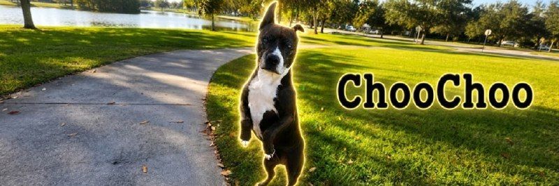 ChooChoo token on Solana
