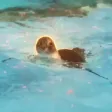 ‌Ví 阿零