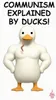 DUCK