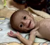 FEED GAZA
