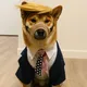 THEDOG