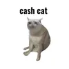Cash Cat