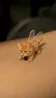 BILLI