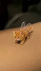 BILLI