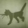First Digital Cat (1968)