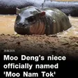 Carteira MOO NAM TAK
