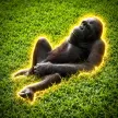 The Gooning Orangutan 钱包