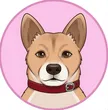 Kencoin 钱包