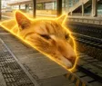 Train Cat 钱包