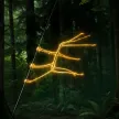 Carteira de The HODLing Stickbug