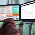 Monkey Business 錢包