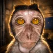 Portefeuille Buyuang The Monkey