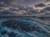 The Ocean