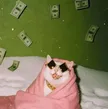 Money Over Bitches 钱包