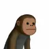 chimp