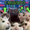 Cat Memes Index 6900 Wallet